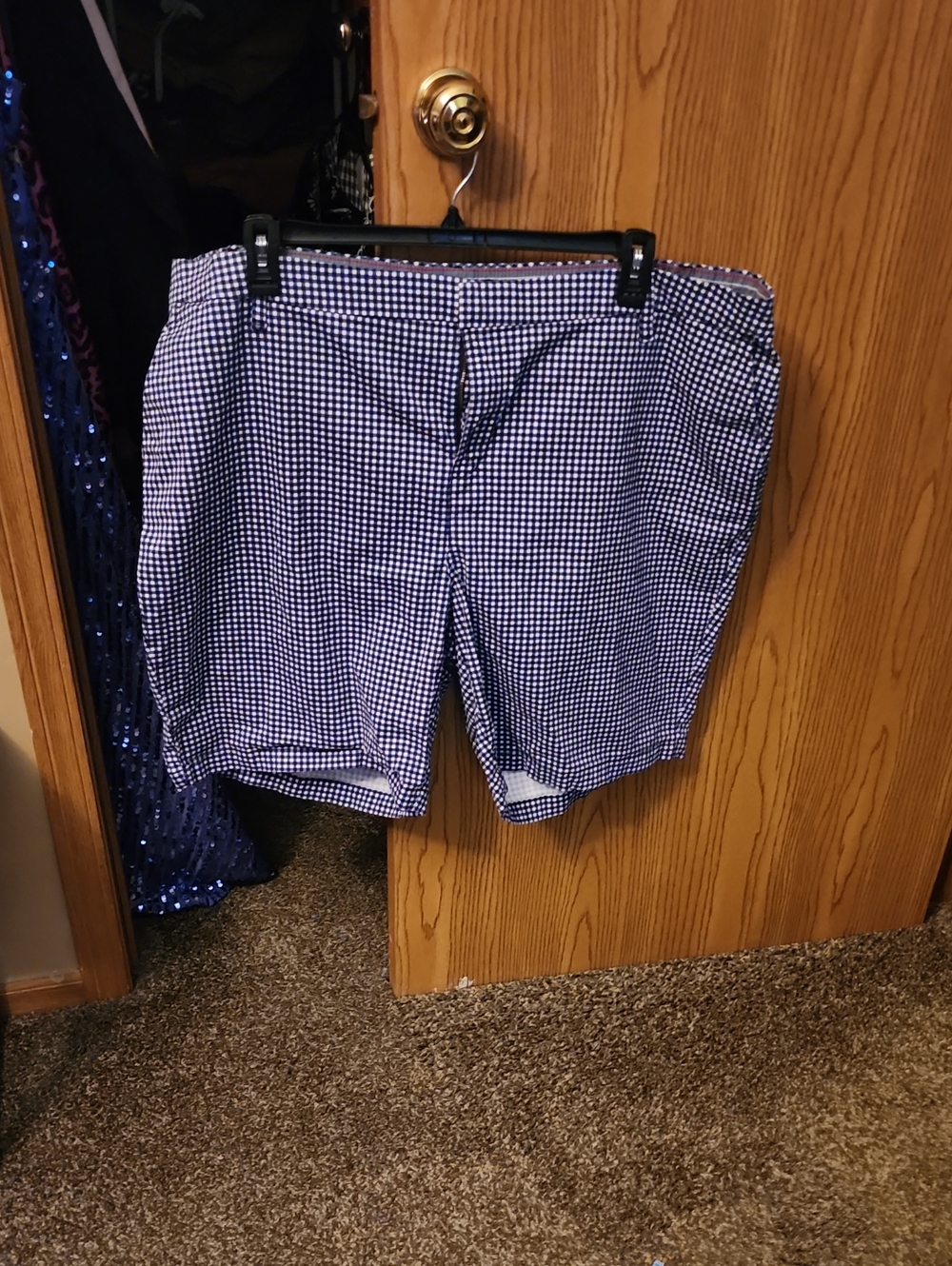 Tommy Hilfiger Navy and White Gingham Flat Front Shorts